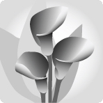 mix - indefinite color