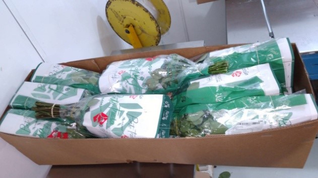 Box type HB (Halfbox) = 0.5 FB