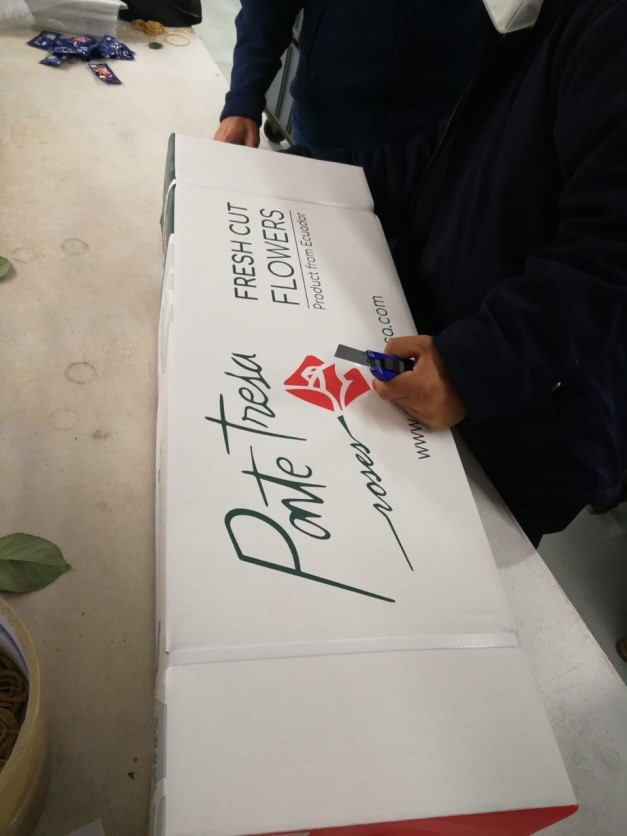 Box type QB (Quattrobox ) = 0,25 FB