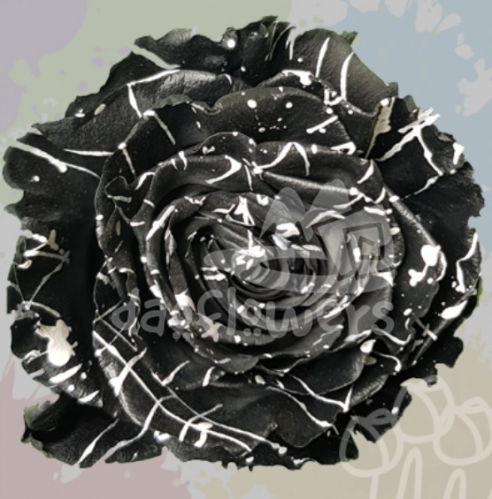 KF 28 Blade Confetti PNT