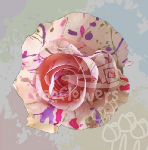 KF 03 Mom Confetti PNT