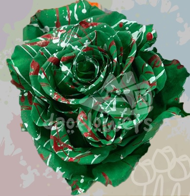 KF 39 Elf Confetti PNT