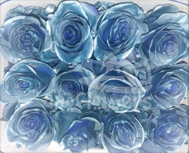 F8 blue & dark blue fancy PNT