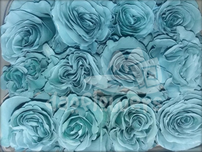 0S sky blue fancy PNT