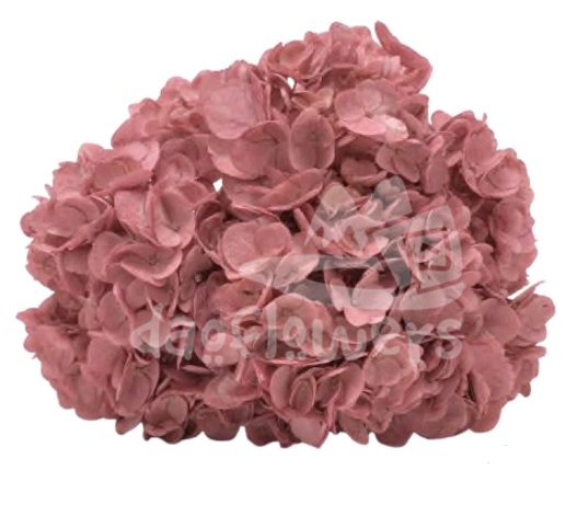 Spectrum Solid Mauve antique