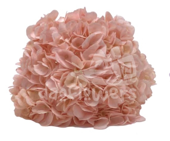 Spectrum Solid Peach