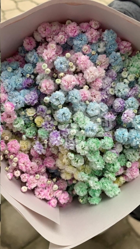 gypso rainbow light colors PNT