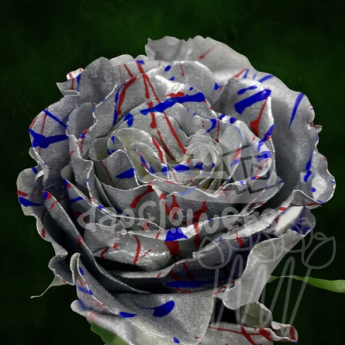 KF 88 Silver Joy Confetti PNT