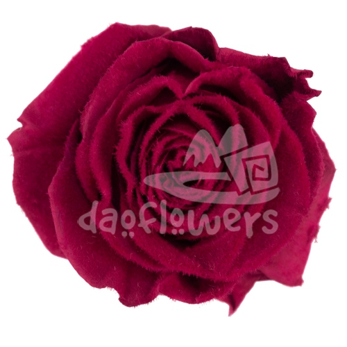 Velvet Dark Cherry PNT