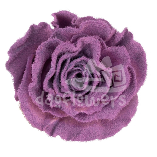 Velvet Dusty Grape PNT