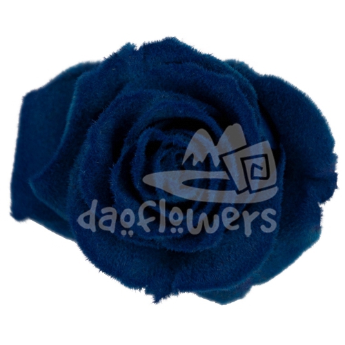 Velvet Galactic Blue PNT