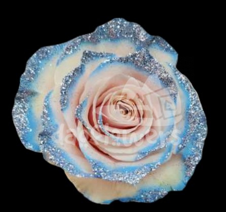 Frosting Horizon PNT