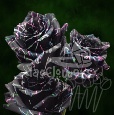 KF 95 Sprinkles Confetti PNT