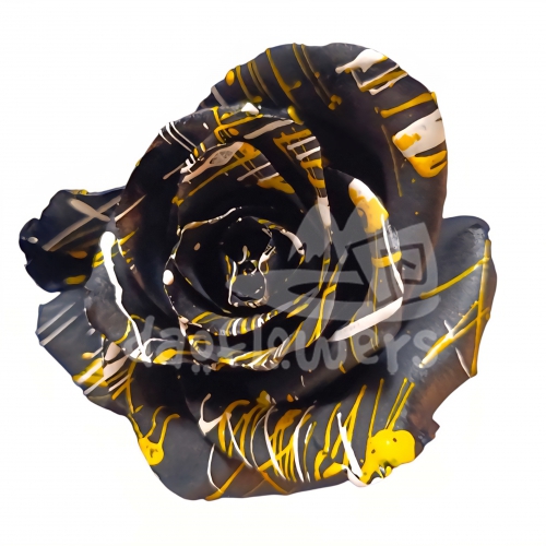 Darkness Konfetti PNT