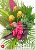 rond paris foulard shampoo