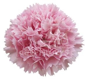 Nobbio Lavender Chic