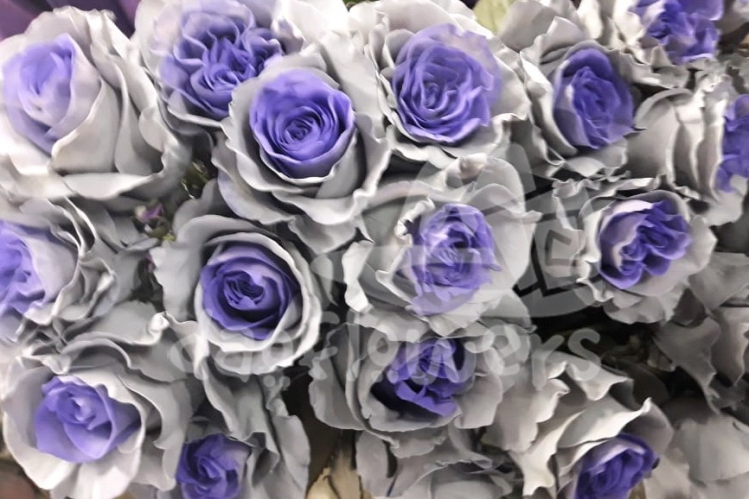 Grey Ural Mondial PNT